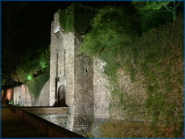 DSCF0111.JPG