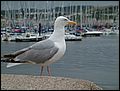 DSCF0087.JPG